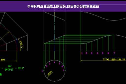中考只有毕业证能上职高吗,职高多少分能拿毕业证