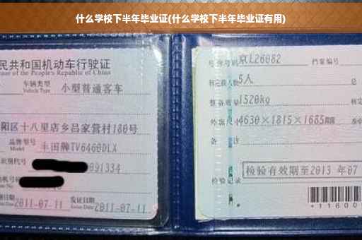 什么学校下半年毕业证(什么学校下半年毕业证有用)