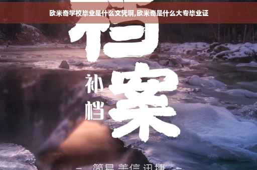 欧米奇学校毕业是什么文凭啊,欧米奇是什么大专毕业证
