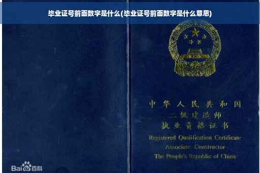 毕业证号前面数字是什么(毕业证号前面数字是什么意思)