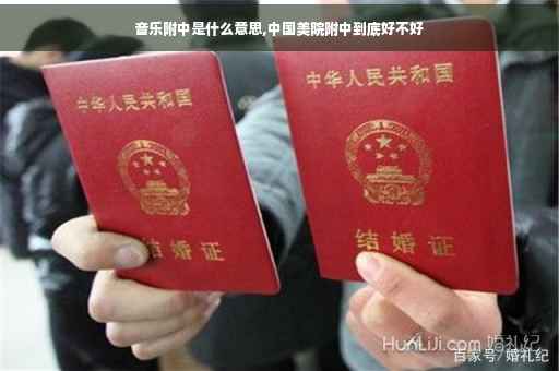 音乐附中是什么意思,中国美院附中到底好不好