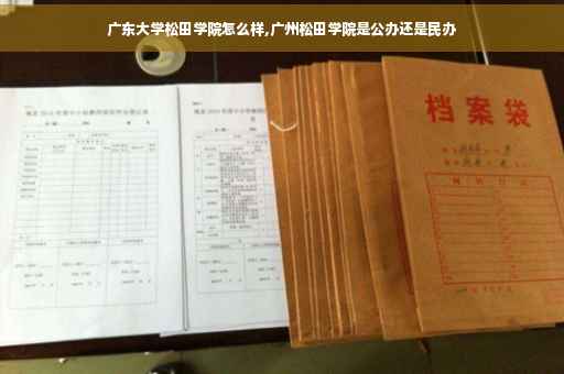 广东大学松田学院怎么样,广州松田学院是公办还是民办