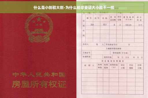 什么是小创和大创-为什么拍毕业证大小脸不一样