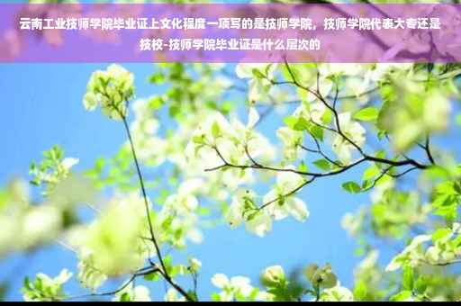 云南工业技师学院毕业证上文化程度一项写的是技师学院，技师学院代表大专还是技校-技师学院毕业证是什么层次的