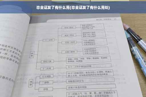 毕业证发了有什么用(毕业证发了有什么用处)