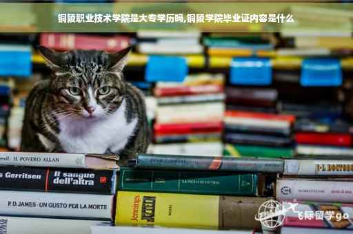 铜陵职业技术学院是大专学历吗,铜陵学院毕业证内容是什么