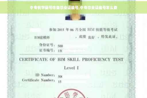 中专有学籍号咋查毕业证编号,中专毕业证编号怎么查
