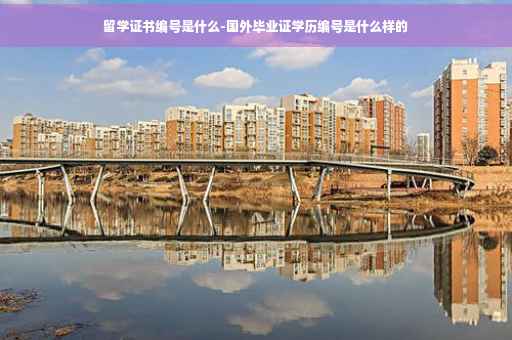 留学证书编号是什么-国外毕业证学历编号是什么样的