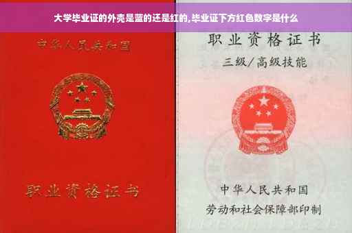 大学毕业证的外壳是蓝的还是红的,毕业证下方红色数字是什么