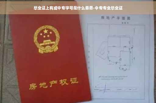 毕业证上有成中专字号是什么意思-中专专业毕业证