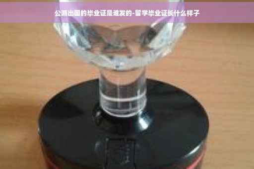 公派出国的毕业证是谁发的-留学毕业证长什么样子