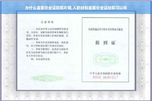 办什么需要毕业证和照片呢,入职材料需要毕业证拍照可以吗