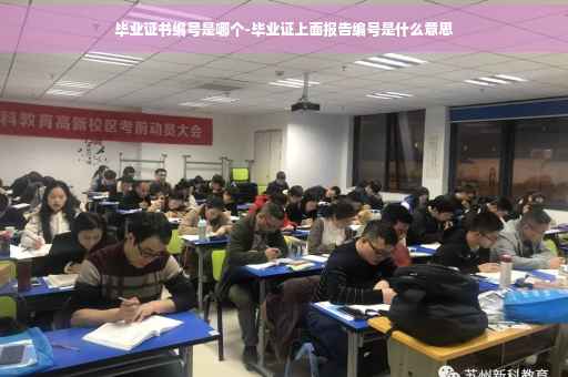 毕业证书编号是哪个-毕业证上面报告编号是什么意思