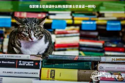 在职博士毕业证什么样(在职博士毕业证一样吗)