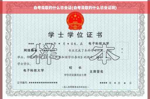 自考是取的什么毕业证(自考是取的什么毕业证啊)