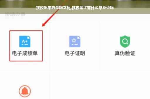 技校出来的是啥文凭,技校读了有什么毕业证吗