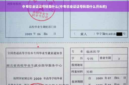 中专毕业证证号码是什么(中专毕业证证号码是什么开头的)