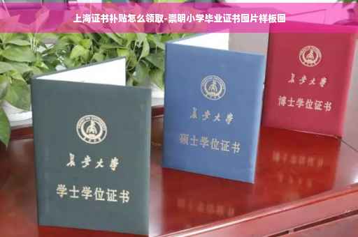 上海证书补贴怎么领取-崇明小学毕业证书图片样板图