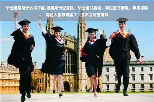 毕业证号是什么样子的,如果身份证号码，毕业证书编号，学位证书标号，手机号码等私人信息泄露了，会不会惹来麻烦