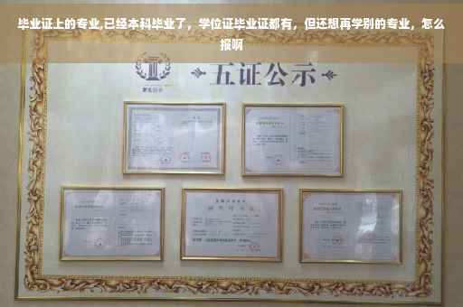 毕业证上的专业,已经本科毕业了，学位证毕业证都有，但还想再学别的专业，怎么报啊