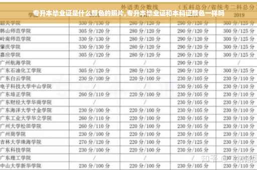 专升本毕业证是什么颜色的照片,专升本毕业证和本科证颜色一样吗