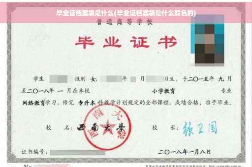 毕业证档案袋是什么(毕业证档案袋是什么颜色的)