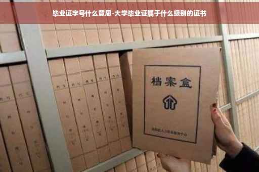 毕业证字号什么意思-大学毕业证属于什么级别的证书