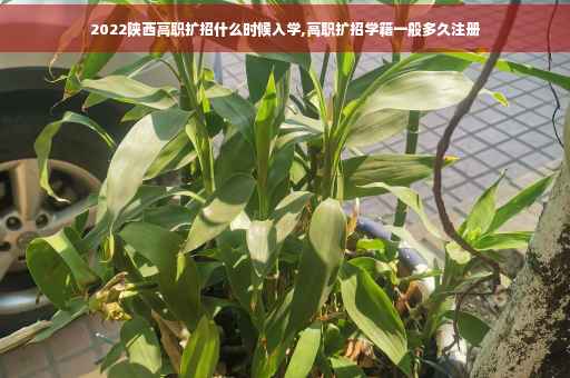 2022陕西高职扩招什么时候入学,高职扩招学籍一般多久注册