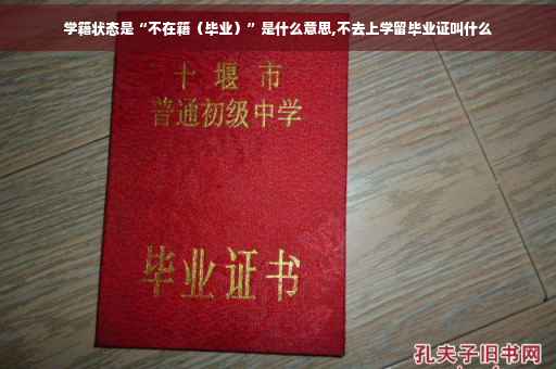 学籍状态是“不在籍（毕业）”是什么意思,不去上学留毕业证叫什么