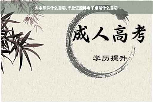 大本原件什么意思,毕业证原件电子版是什么意思
