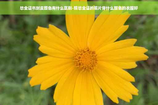 毕业证书封皮颜色有什么区别-照毕业证的照片穿什么颜色的衣服好