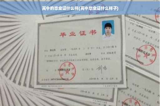 高中的毕业证什么样(高中毕业证什么样子)