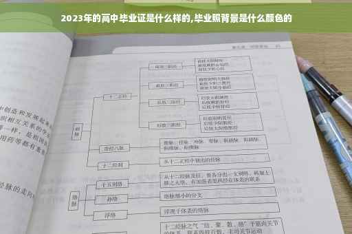 2023年的高中毕业证是什么样的,毕业照背景是什么颜色的