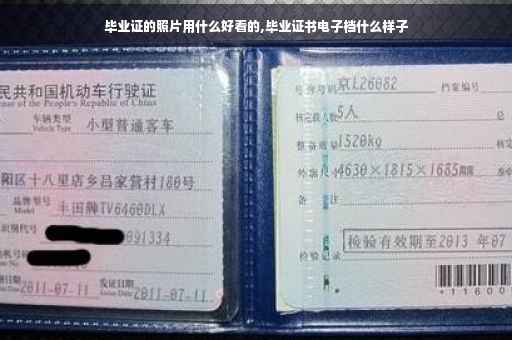 毕业证的照片用什么好看的,毕业证书电子档什么样子