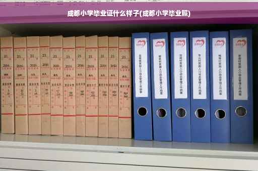 成都小学毕业证什么样子(成都小学毕业照)