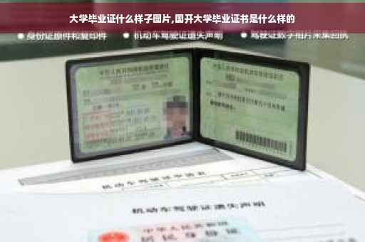 大学毕业证什么样子图片,国开大学毕业证书是什么样的