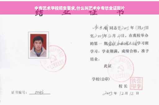中专艺术学校招生要求,什么叫艺术中专毕业证图片
