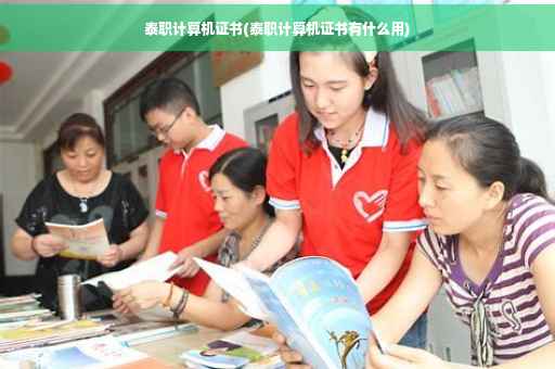 泰职计算机证书(泰职计算机证书有什么用)