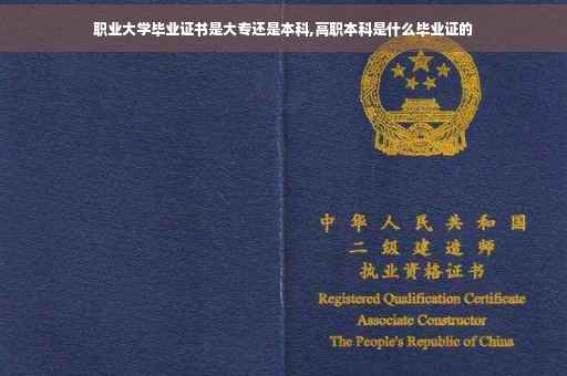 职业大学毕业证书是大专还是本科,高职本科是什么毕业证的
