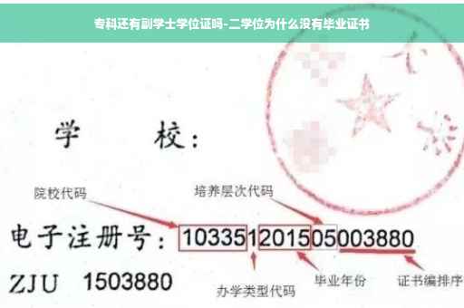 专科还有副学士学位证吗-二学位为什么没有毕业证书