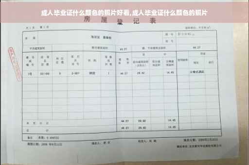 成人毕业证什么颜色的照片好看,成人毕业证什么颜色的照片