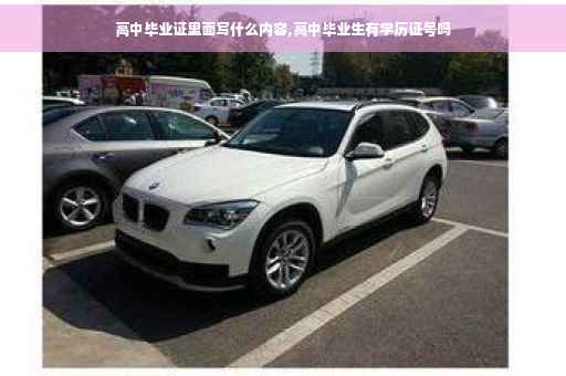 高中毕业证里面写什么内容,高中毕业生有学历证号吗