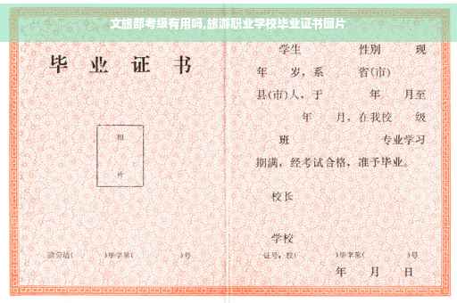 文旅部考级有用吗,旅游职业学校毕业证书图片