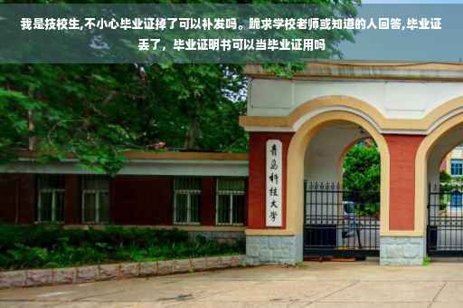 我是技校生,不小心毕业证掉了可以补发吗。跪求学校老师或知道的人回答,毕业证丢了，毕业证明书可以当毕业证用吗