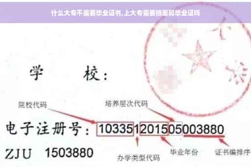 什么大专不需要毕业证书,上大专需要档案和毕业证吗