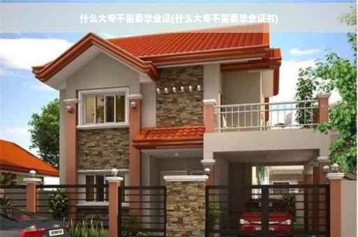 什么大专不需要毕业证(什么大专不需要毕业证书)