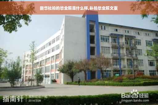 新华社拍的毕业照是什么样,补拍毕业照文案