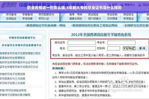 职业资格这一栏怎么填,5年制大专的毕业证书是什么样的