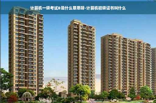 计算机一级考试B是什么意思呀-计算机初级证书叫什么
