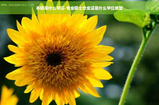 本硕是什么学历-专业硕士毕业证是什么学位类型
